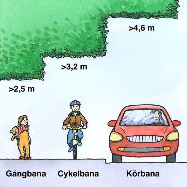 Illustrerad bild på hur hög växtligheten behöver vara över gata.
