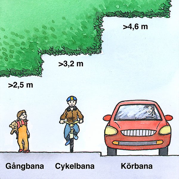Illustrerad bild på hur hög växtligheten behöver vara över gata.